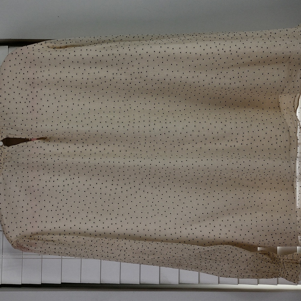 Sundance ‘Gentle Days’ 100% Silk Chiffon Ivory and Black Polka Dot Blouse. XL - Picture 10 of 11